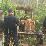 Polícia Civil cumpre mandados em investigação contra pornografia infantil em Chapada dos Guimarães