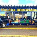 Seciteci e Fapemat divulgam lista de aprovados para fase de apresentação na 22 ª SNCT