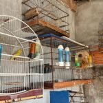 Encontro Mato-grossense de Controle Interno destaca inovações e desafios na auditoria e governança pública