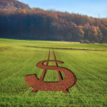 PIB da cadeia de óleos e biodiesel deverá crescer 11% em 2025 impulsionado por supersafra