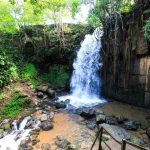 Polícia Civil prende homem procurado por estupro de vulnerável em Terra Nova do Norte
