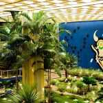 Polícia Civil prende homem investigado por violência doméstica em Juína