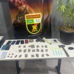 Polícia Civil cumpre busca e apreende de arma de fogo e munições em MT