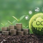 Brasil segue entre líderes mundiais com safra projetada em 3,73 milhões de ton.