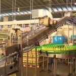 Inscrições para o MBA em Formação de Lideranças Femininas seguem até dia 9