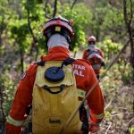 Corpo de Bombeiros combate 12 incêndios florestais neste domingo  (19)