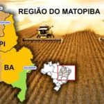 UE propõe mudanças na lei antidesmatamento que podem dar fôlego aos exportadores