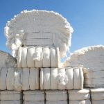 Carbono vira receita extra para o produtor rural brasileiro