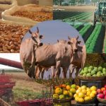 SIPAT 2025 reforça compromisso da Concessionária Morro da Mesa com a segurança e o bem-estar dos colaboradores