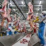 SES promove a 9ª captação de múltiplos órgãos em Mato Grosso de 2025