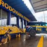 Força Tática da PM e PRF apreendem 19 tabletes de pasta base de cocaína em Várzea Grande