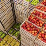 Polícia Militar reforça o policiamento tático e ostensivo nos 142 municípios do Estado