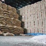 Vaca Nelore Donna bate recorde mundial e é vendida por R$ 54 milhões