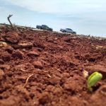 Supersafra histórica expõe gargalos logísticos e ameaça renda do produtor rural