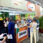 Óleo de soja: aliado da saúde, do sabor e do equilíbrio na alimentação dos brasileiros