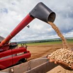 COP30 começa na Amazônia e coloca agronegócio no centro do debate climático