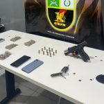 Fundo de Florestas Tropicais quer quase 700 bilhões para preservar áreas verdes