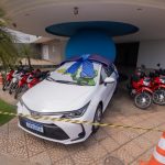 Corpo de Bombeiros remove enxame de abelhas em árvore na calçada de bairro residencial