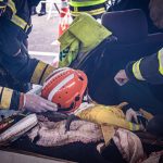 Sema deflagra operação contra desmatamento e embarga 73 hectares de área em Alto Paraguai