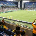 Retirada de tarifa pelos EUA anima mercado e eleva expectativas para o preço da arroba do boi