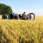 Exportações de carne bovina crescem 6,7% em novembro e já superam todo o volume embarcado em 2024, aponta Secex