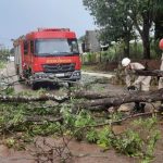 CGE e Seduc disponibilizam vídeos do Programa Estudante Cidadão do Futuro para votação