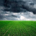 Orquestra CirandaMundo recebe Thales de Paiva para concerto com forró e brasilidades no Cine Teatro Cuiabá