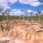 O que o produtor rural precisa saber sobre a conferência que vai mexer com o campo