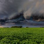 Frango fecha semana estável, mas setor mantém ritmo forte no ano