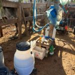 Semeando Saberes: Secretaria Municipal de Educação promove jornada formativa que valoriza a troca de experiências