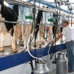 Vice-prefeito Lourenço Marani anuncia abertura de agência da Cresol em Colíder