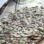 Mato Grosso amplia em 43% a participação de reeducandos no Enem 2025