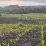 Be8 lança biocombustível que iguala desempenho do diesel e reduz até 99% das emissões de gases de efeito estufa