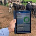 Projeto amplia capacitação e fortalece a pecuária de pequenas produtoras em Santa Rita do Pardo (MS)