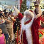 Corpo de Bombeiros captura animais silvestres em Poconé e Alta Garças