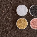 Seguro rural precisa de reforço urgente para garantir sustentabilidade do agronegócio, alerta presidente da Faesc