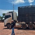 Trânsito na Miguel Sutil terá inversão de fluxo para sentido Rodoviária-Coxipó a partir deste sábado (15)