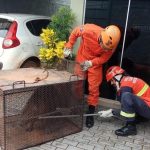 Polícia Civil prende homem que pulou o muro e invadiu a casa da ex-companheira