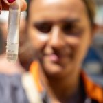 Demanda interna impulsiona preços do milho, que seguem firmes no mercado brasileiro