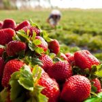 Polícia Militar conduz quatro suspeitos após invasão de residência em Araputanga