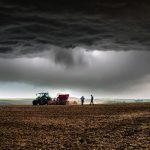 Tradição e desafio econômico marcam o o Dia Internacional do Arroz