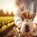 Período chuvoso aumenta risco de pragas em pastagens e exige atenção redobrada dos pecuaristas