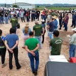 Moradores denunciam poda drástica e SEMMA multará Energisa em Rondonópolis