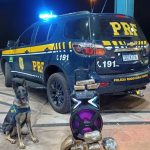 Unidade de retaguarda da COP 30, MT Hemocentro alerta para reforço dos estoques de sangue