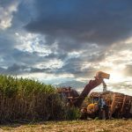Três suspeitos são detidos pela Polícia Militar após roubo a residência em Tangará da Serra