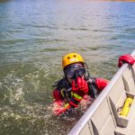 Mercado do boi gordo mostra leve aquecimento, mas preços seguem estáveis em grande parte do país