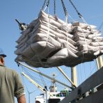 Exportações brasileiras do agronegócio já somaram R$ 752 bilhões até outubro