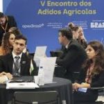 Açúcar sobe no mercado internacional com foco na Índia, enquanto safra brasileira avança e etanol mantém firmeza nos preços