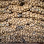 Corpo de Bombeiros localiza corpo de jovem que se afogou no Rio Sucuri