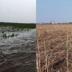 Setor produtivo vê avanço regulatório com simplificação do licenciamento e critérios